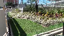 5.webp